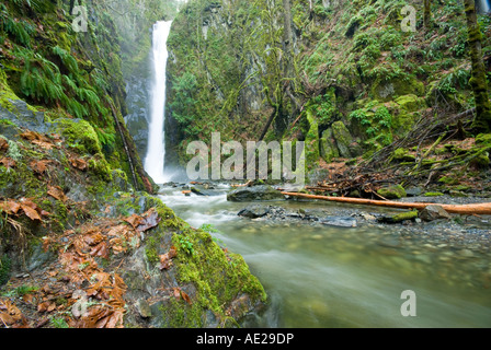 Little Niagara falls in Goldstream Provincial Park near Victoria, BC Stock Photo