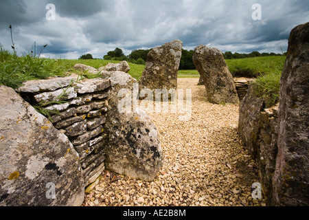 Nympsfield long barrow prehistoric burial chamber, a prehistoric burial chamber the Cotswold Way, England Stock Photo