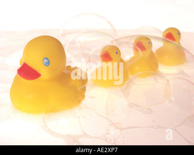 Duckies in a row Stock Photo