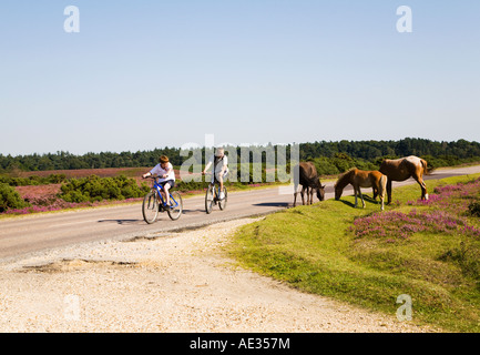 Two boys on bikes cycling on a country road in the New Forest National Park, looking at New Forest ponies. Hampshire UK. Stock Photo