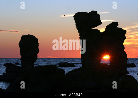 Natural seastacks in Fårö, Gotland called Rauks. This rauk is one of the most famous, standing in the water at Gamla Hamn. Stock Photo