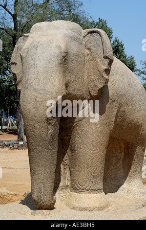 An elephant carving in the complex of many temples including the famous 5 Rathas at Mahabalipuram Stock Photo