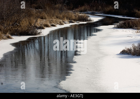 Fresh ice and tree reflections in Fairbank Creek, Greater Sudbury, Ontario, Canada Stock Photo