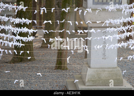 Lines of tied paper fortunes, or omikuji, with trees and a stone lantern in the background, at Akimiya Shrine, Shimosuwa. Stock Photo