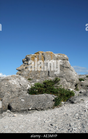 Natural seastacks in Fårö, Gotland called Rauks. These are at Digerhuvud Stock Photo