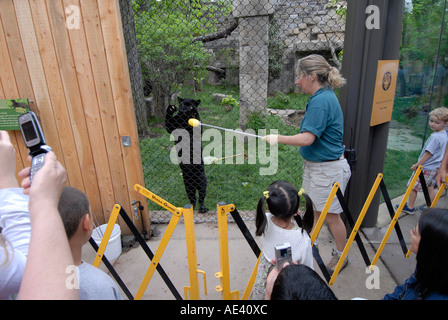 Philadelphia Zoo Big Cat Falls trainer working with young black panther Philadelphia Pennsylvania PA USA Stock Photo