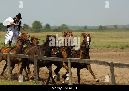 Hungarian cowboy horse show, Bugaci Town, Kiskunsagi National Park, Hungary, Europe Stock Photo
