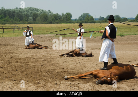 Hungarian cowboy horse show, Bugaci Town, Kiskunsagi National Park, Hungary, Europe Stock Photo