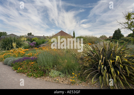 THE DRY GARDEN AT RHS GARDEN HYDE HALL, NEAR CHELMSFORD,  IN JUNE ON A SUNNY DAY Stock Photo