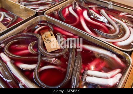 Raw eels displayed in stall at Tsukiji Fish Market in Tokyo Japan the biggest wholesale fish market in the world Stock Photo