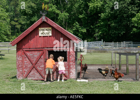 Chesapeake Virginia Chesapeake Campground And Cottages Petting Zoo