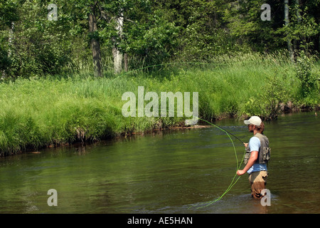 Fisherman fly fishing young man in the Little Manistee River in Michigan in USA man is standing in the water from above with rod green forest hi-res Stock Photo