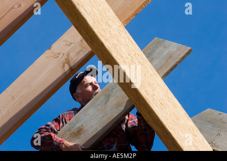 Carpenter in his mid 50s holding a roof rafter as he places it on the ridge beam at a construction site Stock Photo