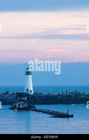 Walton Lighthouse on the west jetty of Santa Cruz Harbor at twilight with a seagull flying by in Santa Cruz California Stock Photo