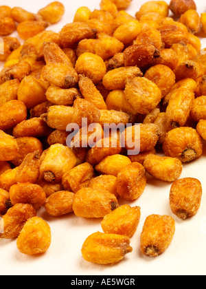 ROASTED CORN KERNELS Stock Photo