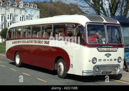 Great Orme tour bus, Llandudno, Gwynedd, North Wales, UK Stock Photo