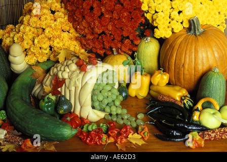 A gorgeous garden harvest close up with a colorful cornucopia of homegrown fall produce with fruit and vegetables and mum flowers, Missouri USA Stock Photo