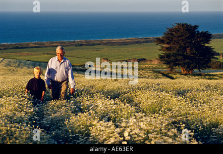 Man and grandson Tasmania, Australia, Stock Photo