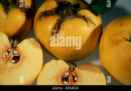 Quinces (Cydonia vulgaris) Stock Photo