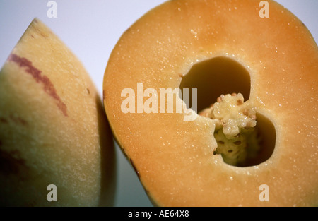 Melon Pear (Solanum muricatum ) Pepino Stock Photo