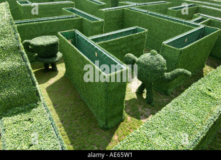 A Topiary Teapot and Teacup wander around a topiary maze Stock Photo