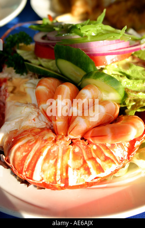 Australian Seafood Stock Photo