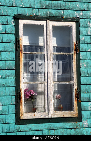 Window with Lace curtains, Ile aux Marins, Saint Pierre Stock Photo