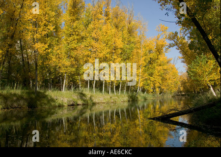 Autumnal leafed trees follow the Rio Jucar through a gorge away from ...