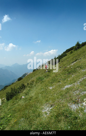 the climb to Mount Piper 2069 m Stock Photo