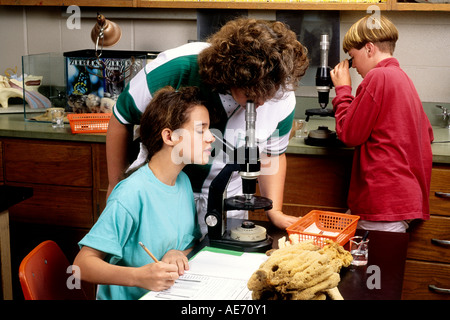 Student age 13 in Eighth grade learning science with teacher helping to learn at desk Stock Photo