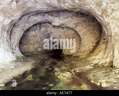 Limestone Cave Outlet in Cave Stream Scenic Reserve Canterbury South Island New Zealand Stock Photo