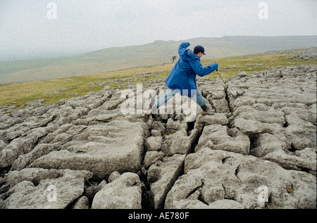 credit line mandatory John Angerson Hill walker on the ancient limestone pavements in the yorkshire near Malham North Yorkshire Stock Photo