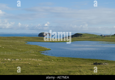 dh West Loch ESHA NESS SHETLAND Eshaness Dore Holm natural arch rock unihabitated islet island landscape Stock Photo