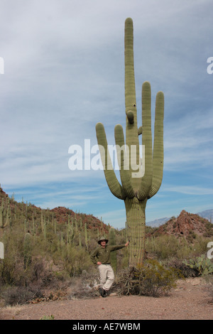 saguaro cactus (Carnegiea gigantea, Cereus giganteus), single plant in size comparism with man, USA, Arizona, Tucson