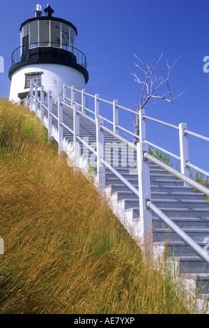 Owl's Head Light, with its stairway climbing through a hillside of grass, USA, Maine, Knox County Stock Photo