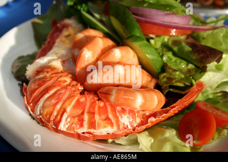 Australian Seafood Stock Photo