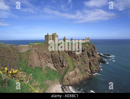 dh  DUNNOTTAR CASTLE KINCARDINESHIRE Castle stronghold on sea cliff headland beach gorse bushes scotland castles Stock Photo