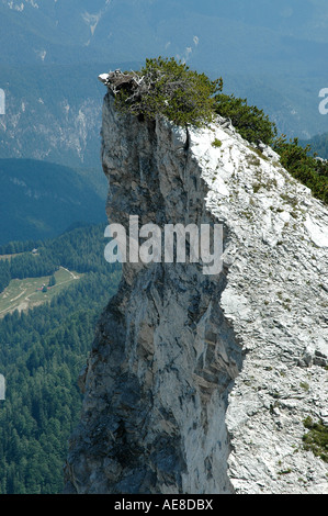 the climb to Mount Piper 2069 m Stock Photo