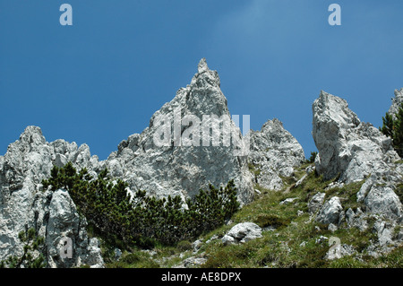 the climb to Mount Piper 2069 m Stock Photo