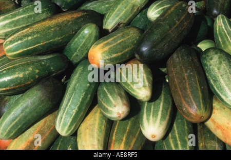 Vegetables for sale on an Indian market stall Varanasi India Tindora Stock Photo