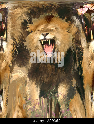 African lion Stock Photo