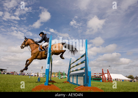 Equestrian sport horse riders show jumping competition horse jumping over jumps at Dumfries Agricultural Show Scotland UK Stock Photo