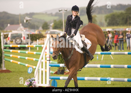 Equestrian sport horse riders show jumping competition horse jumping over jumps at Dumfries Agricultural Show Scotland UK Stock Photo
