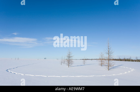 Footpath on fresh new snow and silhouetted two persons walking at the top of the hill , Finland Stock Photo