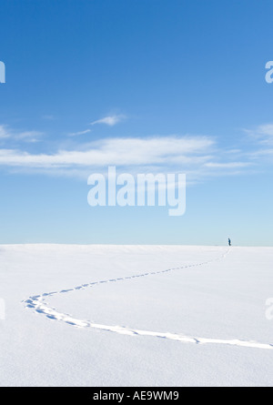 Footpath on fresh new snow and a distant runner silhouette at the top of the hill , Finland Stock Photo