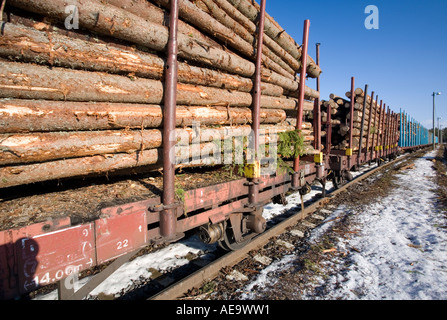 Spruce logs  ( picea abies ) loaded to railroad flatcars with stakes , Finland Stock Photo