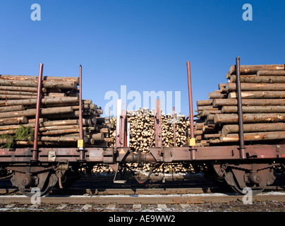 Spruce logs ( picea abies ) loaded to railroad flatcars with stakes , Finland Stock Photo