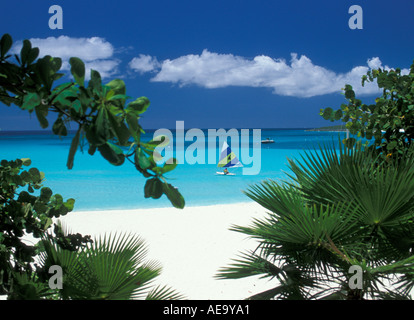 Maunday s Bay Anguilla at Cap Juluca resort hotel peering through the sea grapes out to the sugar white sand and sailing Stock Photo