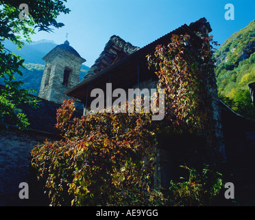 Foroglio stone houses clad in ivy Stock Photo