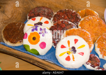 Tour of goat cheese farm Harley Farms in Pescadero San Mateo Coast of California south of San Francisco Stock Photo